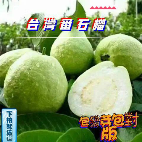 蝦皮購物 花得更少買得更好
