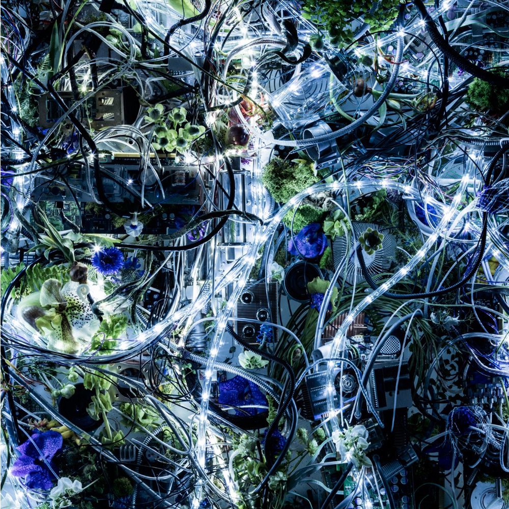 微音樂💃 代購 日版 Aimer - ninelie EP 通常盤 第9張單曲 日本進口版