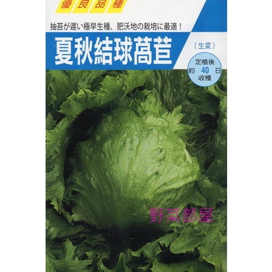 【萌田種子~中包裝】B25 日本夏秋結球萵苣種子10公克 ,美生菜 ,可做生菜沙拉 ~