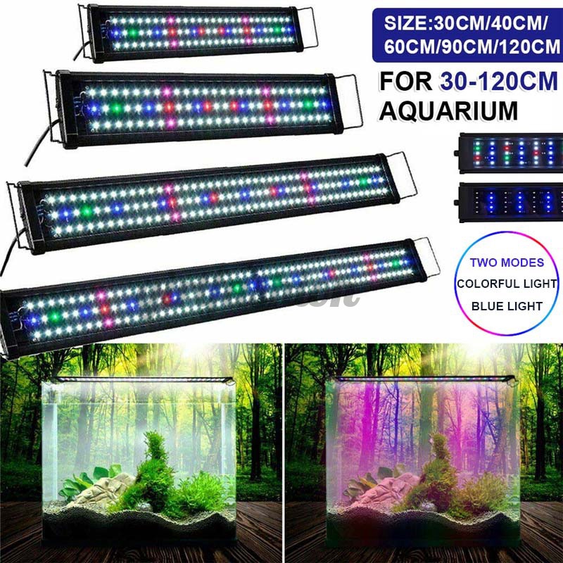 Aquarium Led Lights Full Spectrum Fish Tank Lighting 12v 蝦皮購物