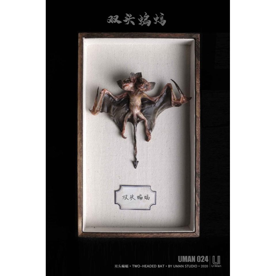 【撒旦玩具 SatanToys】預購 UMAN 024 STUDIO 神秘檔案 【雙頭蝙蝠】Two-Headed Bat