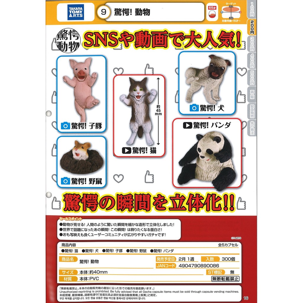 古都女孩 21 2月預購扭蛋轉蛋日本正版takara Tomy 驚嚇動物 全5款 蝦皮購物