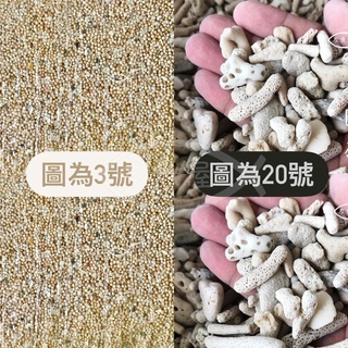 珊瑚砂 1kg 20kg 3號 20號 30號 珊瑚骨 珊瑚石 貝殼砂 菲律賓砂 貝殼沙 菲律賓沙 珊瑚沙