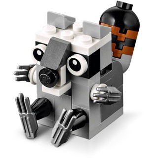 LEGO 樂高 40240 迷你 浣熊 Mini Raccoon Polybag 全新未拆