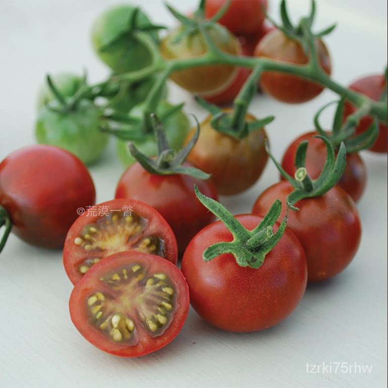 加奈特番茄種子傳家寶甜美高產盆栽英國進口傳家寶西紅柿荒漠一瞥小螞蟻稀有種子花卉/蔬菜/水果種子