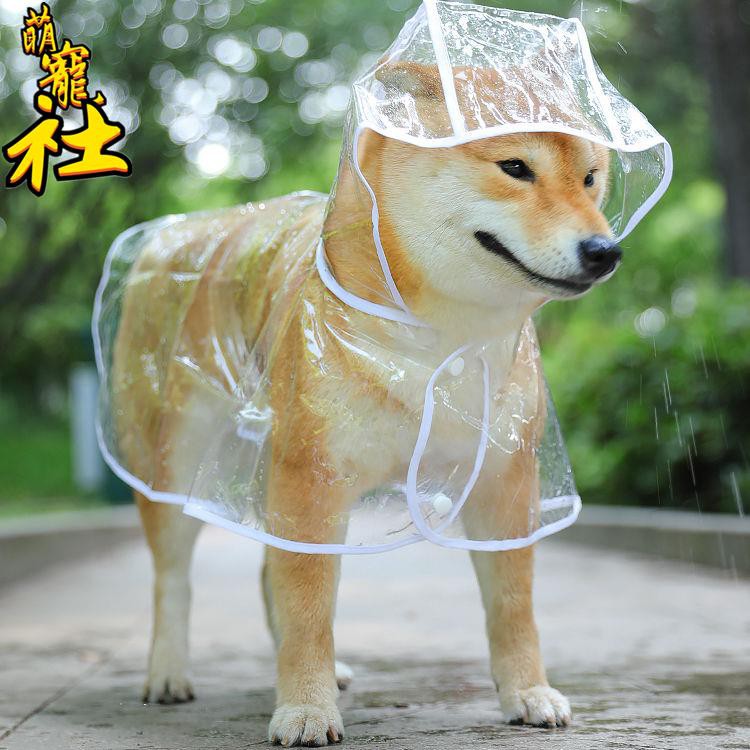 透明狗狗雨衣大中型犬寵物衣服寵物外出用品 蝦皮購物