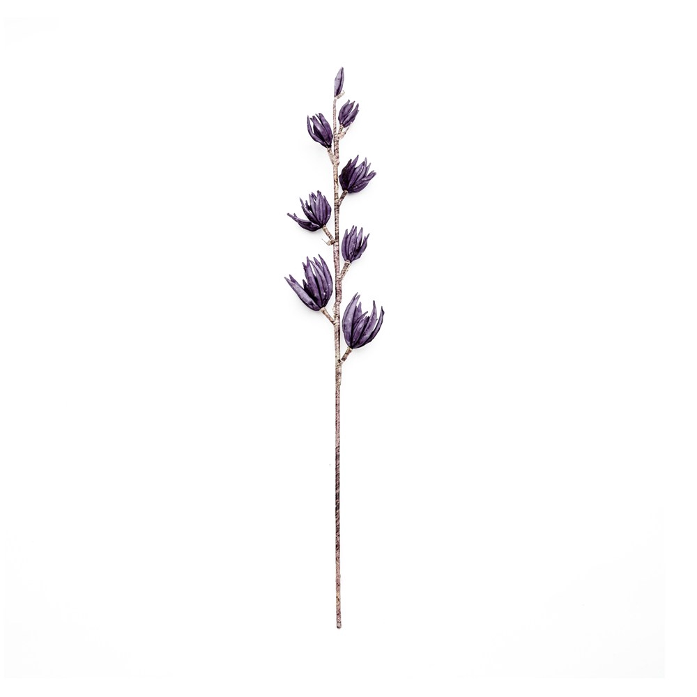 Hola 旱蓮草花插紫 蝦皮購物