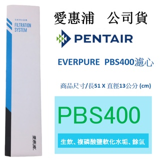 [領85折價卷]【免運】【開發票】【愛惠浦公司貨 】EVERPURE PBS400 濾心 公司貨淨水濾芯 雷射標籤