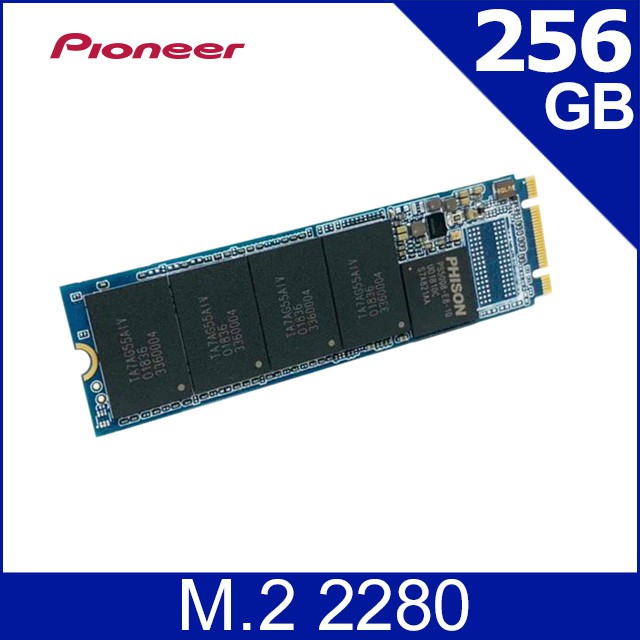 Pioneer 先鋒 APS-SE20G  M.2 PCIe SSD 固態硬碟 256G/512G/1TB