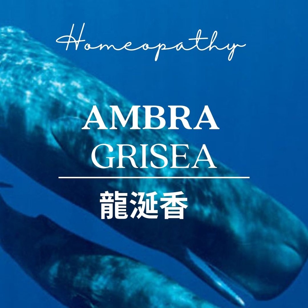 順勢糖球【Ambra Grisea●龍涎香】Homeopathic Granule 9克 食在自在心空間