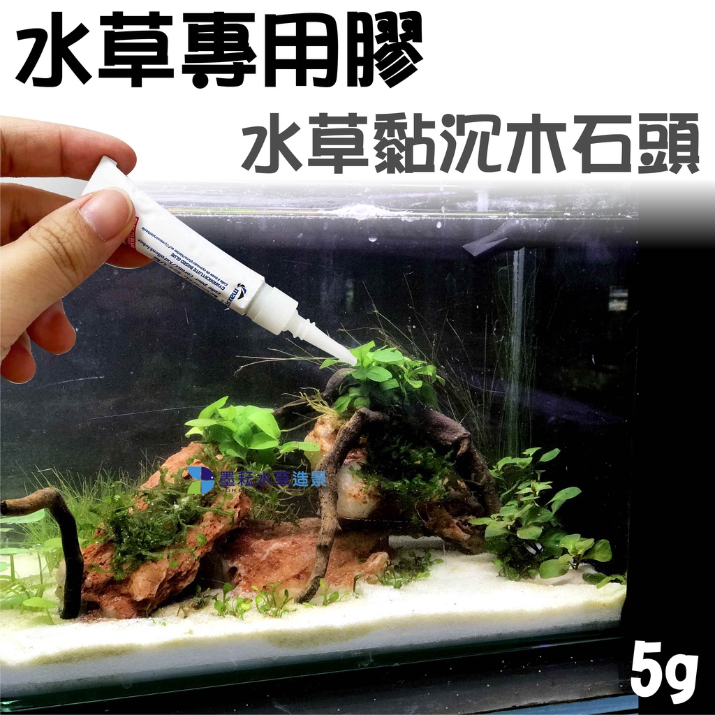 莫絲 優惠推薦 22年8月 蝦皮購物台灣