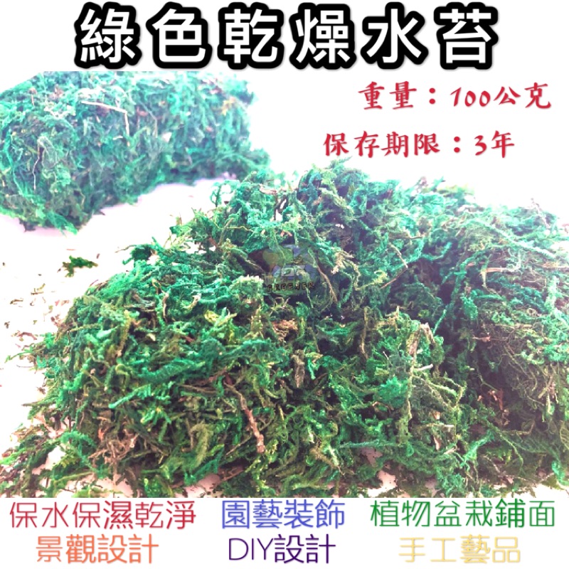 綠色乾燥水苔100公克 蝦皮購物