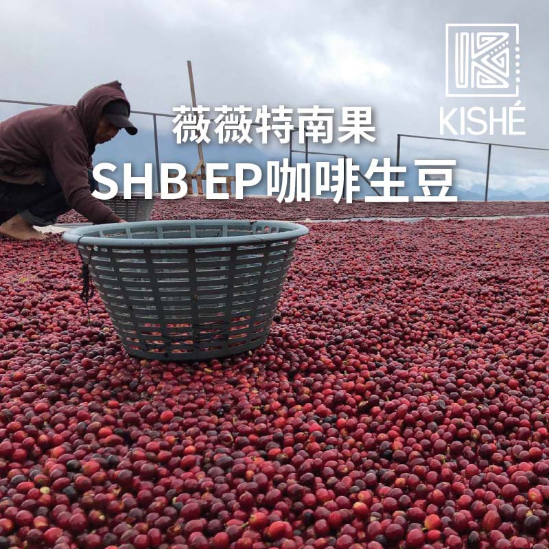 薇薇特南果  SHB EP 咖啡生豆1kg/3kg/5kg【KISHE咖啡生豆批發】