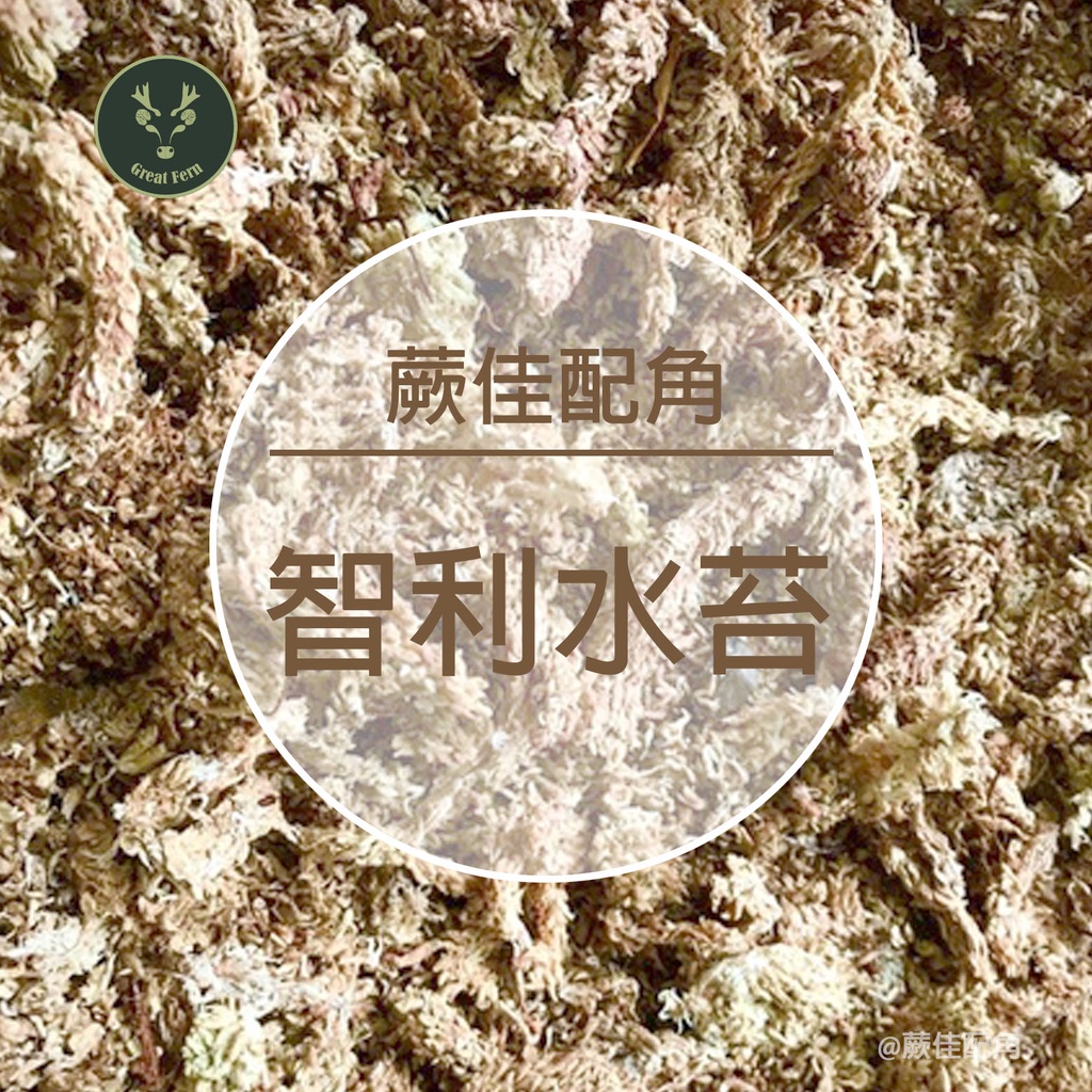 蕨佳配角 - 介質『智利水苔』（150g )