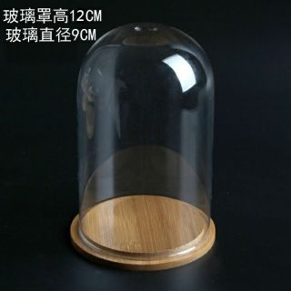 防塵玻璃罩商品展示罩 手作防塵罩 乾燥花 不凋花 永生花罩 蠟燭罩 羊毛氈 輕黏土防塵罩 透明玻璃罩木底玻璃罩微景觀罩
