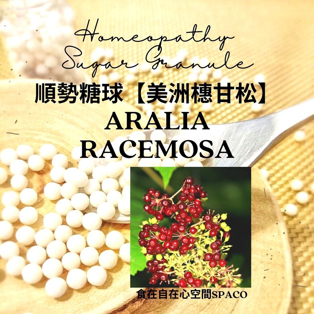 順勢糖球【美洲穗甘松●Aralia Racemosa】Homeopathic Granule 9克 食在自在心空間