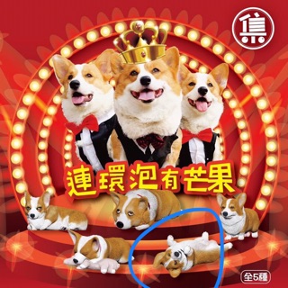 連環炮有芒果 扭蛋 多多 柯基扭蛋