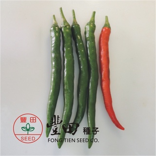 【良田種子~】M19 紅美辣椒種子10粒 , 結果力強 , 可做剝皮辣椒 ~