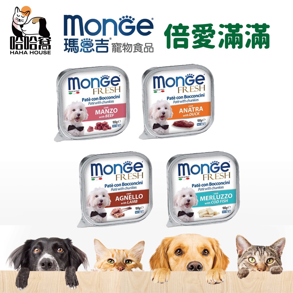 『瑪恩吉 MONGE』倍愛滿滿主食犬餐盒 100g |哈哈窩寵物精品館