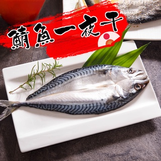 【鮮綠生活~免運費】挪威鯖魚一夜幹175g(整尾蝴蝶切)