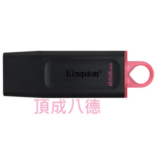 Kingston 金士頓 256G DTX/256GB DataTraveler Exodia USB 3.2 隨身碟