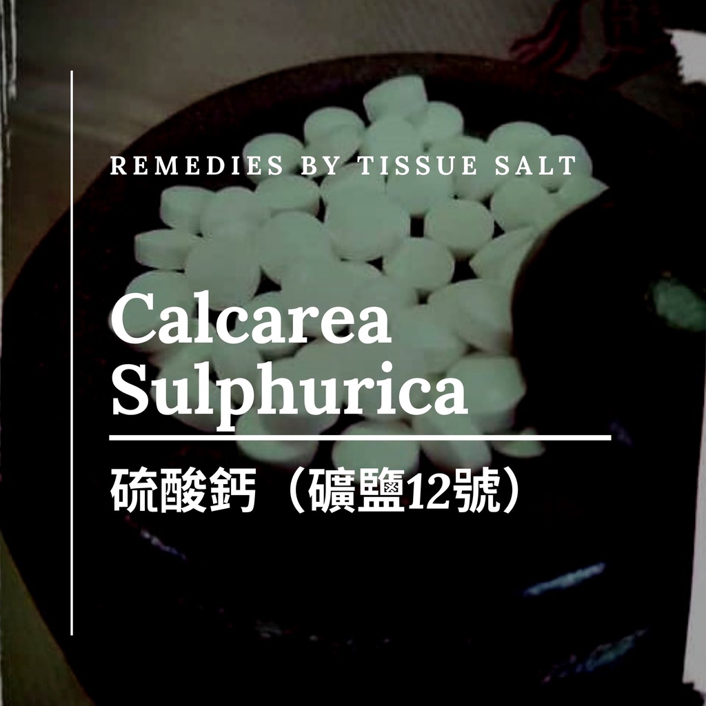 順勢十二組織鹽／礦鹽 Calcarea Sulphurica 【⑫硫酸鈣 6X】Tissue Salt 8克 食在自在