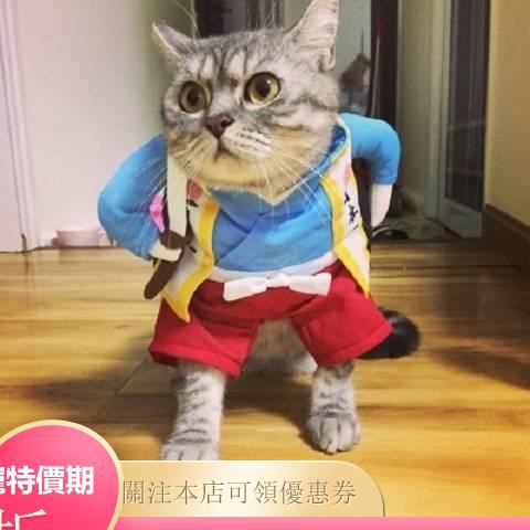 寵物變身裝桃太郎貓衣服小武士泰迪狗搞笑服英短暹羅貓咪直立裝 蝦皮購物