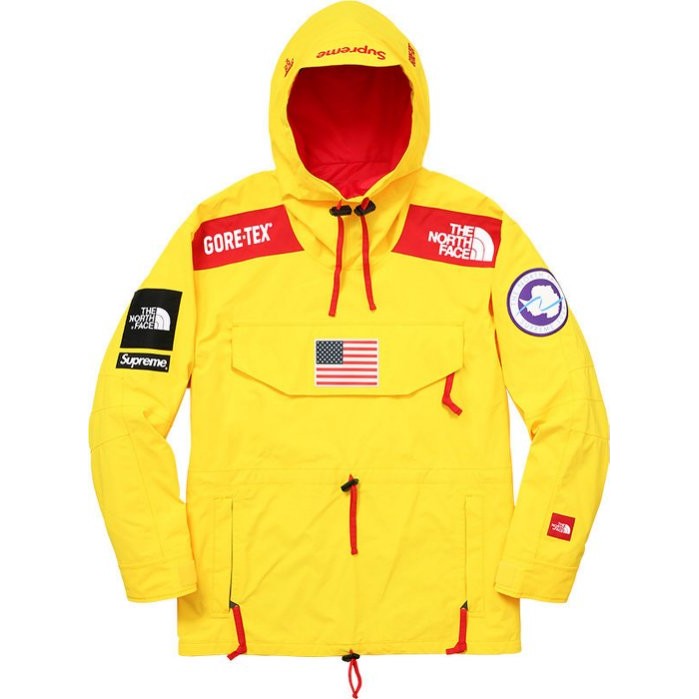 the north face antarctica hoodie