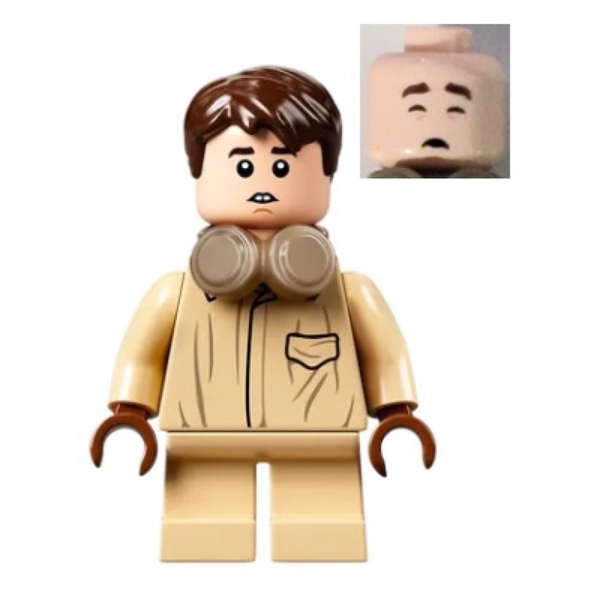 樂高 LEGO Neville Longbottom 哈利波特（76384）