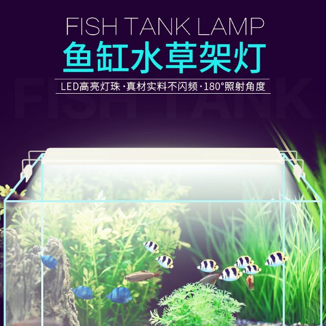 ［螃蟹豬豬］模型水草燈 高魚缸燈 2尺燈 1尺燈 1呎led 2呎燈 LED 支架燈 跨燈 藍白燈 二尺燈 媲美ista