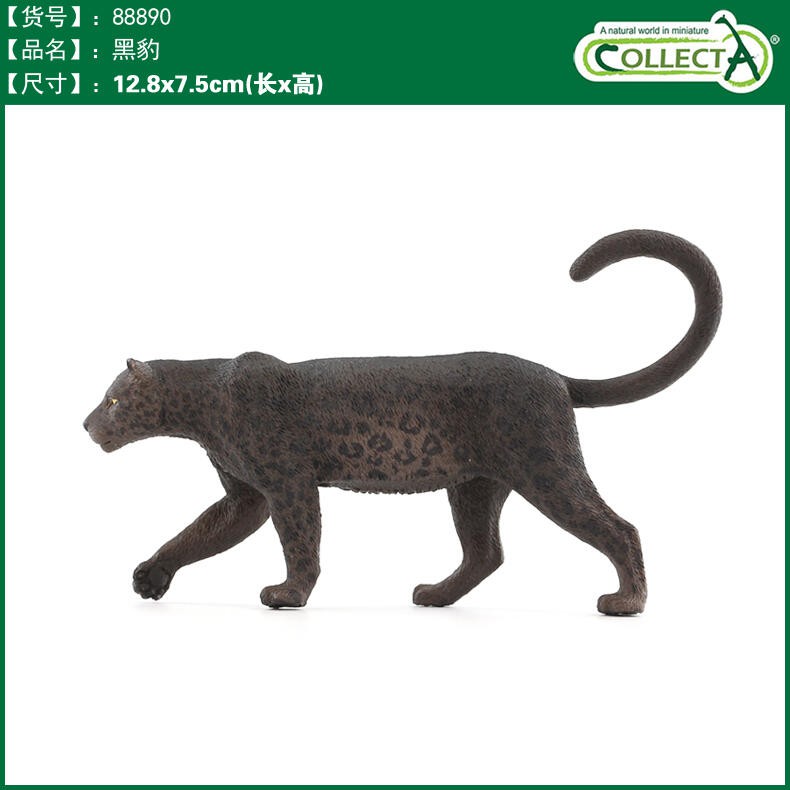 CollectA 英國高擬真模型 黑豹 雪豹 仿真 野生動物 動物模型 公仔