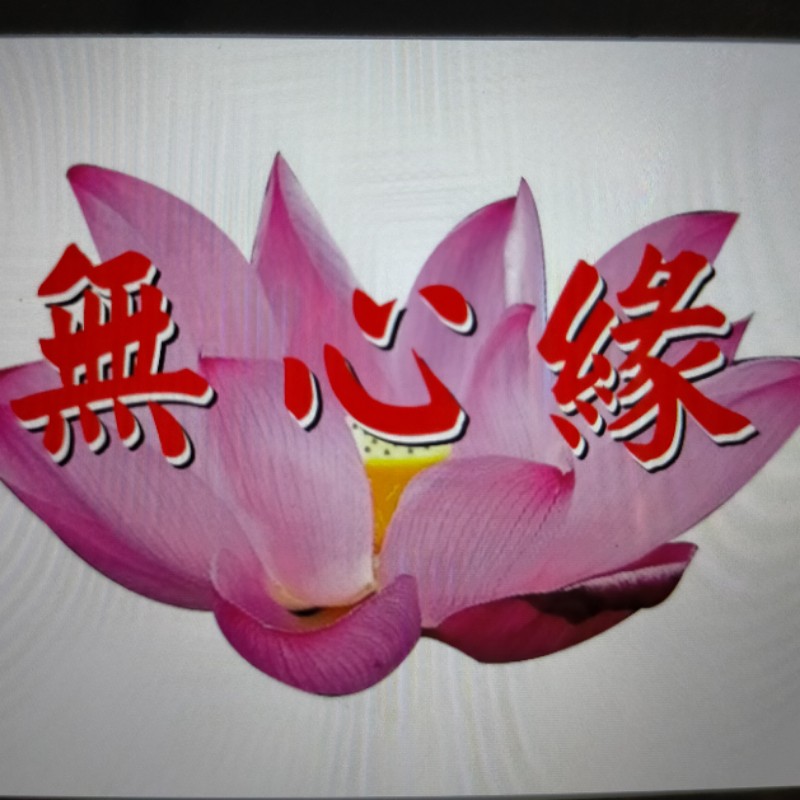 無心緣 鴨腳木冬蜜純正天然蜂蜜700g 數量有限 蝦皮購物