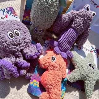 🤍現貨-海洋世界 章魚/海星/海馬 寵物玩具 耐咬玩具 大氣囊啾啾 狗玩具