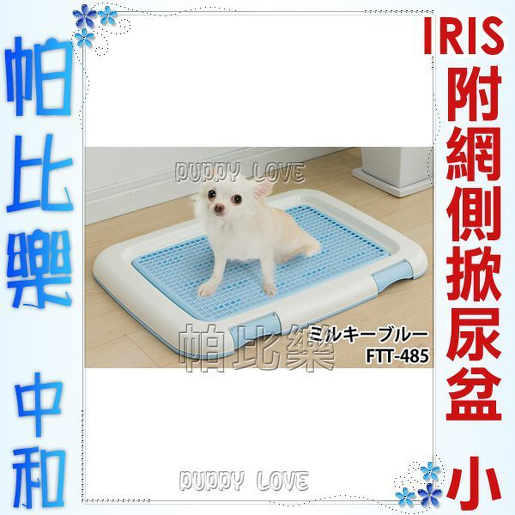 努力する件名口犬尿茶色 Trulyabsolute Org