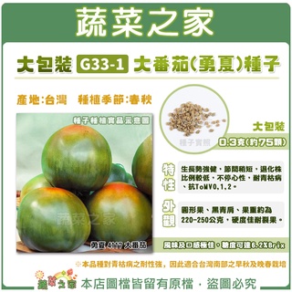 【蔬菜之家滿額免運】大包裝大番茄(勇夏)種子0.3克(約75顆) // 生長勢強健，節間稍短，退化株比例較