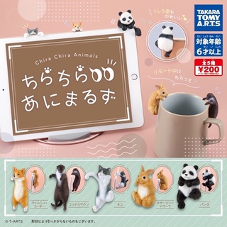 轉蛋 正版 全新 現貨 攀爬偷看動物們 扭蛋 動物 公仔 波斯貓 玩具 模型 貓咪 科基 狗 犬 兔子 熊貓 貓熊 寵物