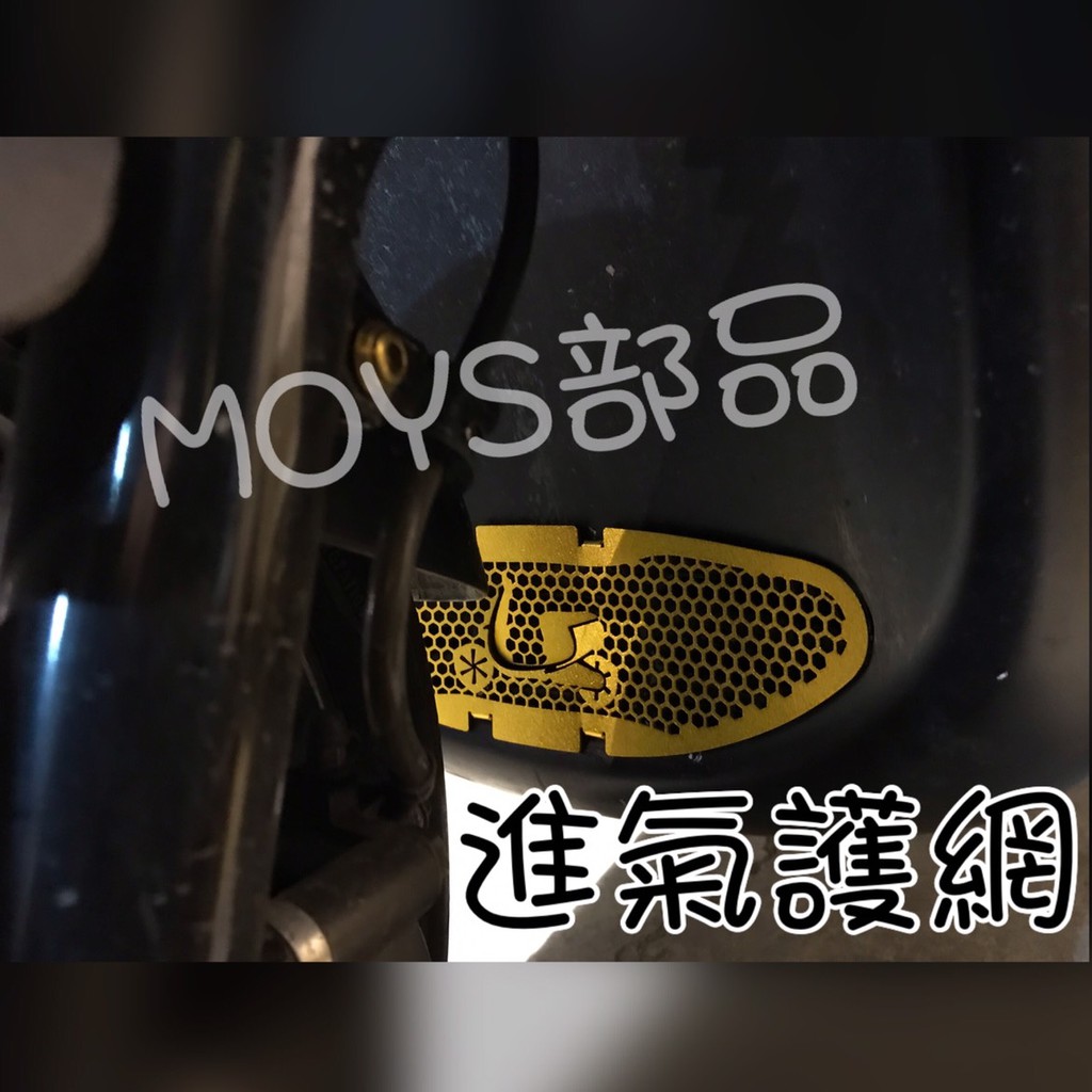 MOYS GOGORO2 進氣防護網 水箱護網 保護水箱 冷排防護網 防塵網 EC-05 進氣孔護網 進氣口 護網 S2