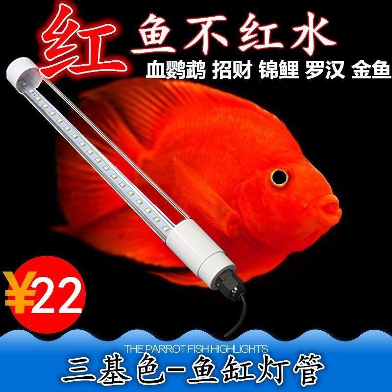 血鸚鵡金魚 Ptt Dcard討論與高評價網拍商品 21年10月 飛比價格