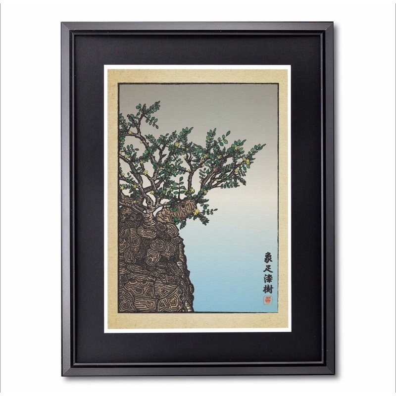 現貨 - GREEN PRICKLE 日本插畫 -象足漆樹