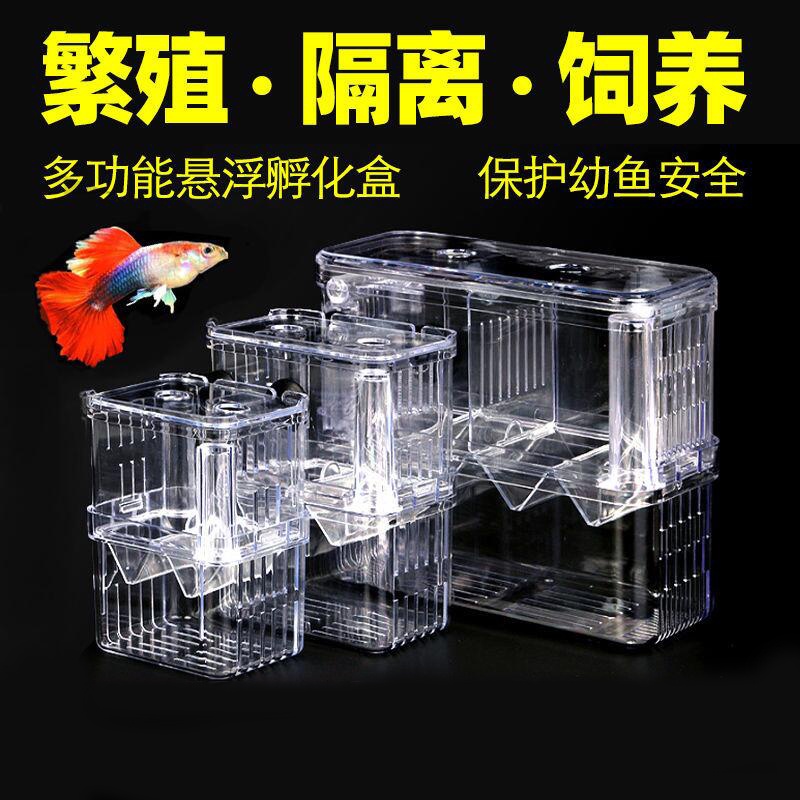 魚缸隔離盒孔雀魚繁殖盒神器小魚苗孵化母魚亞克力幼魚鳳尾產子箱 蝦皮購物