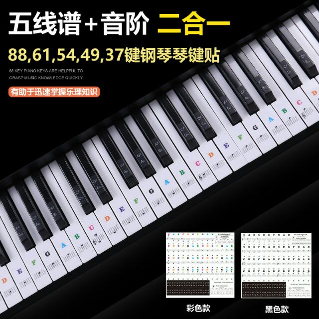61 54 49鍵鋼琴透明貼紙電子琴鍵盤手捲鋼琴鍵貼簡譜音階貼紙 蝦皮購物