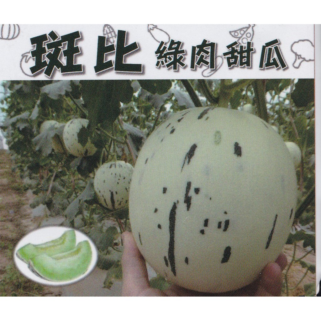 【大包裝水果種子L329】斑比洋香瓜/綠肉~具特殊斑紋。果重約1.6~1.8公斤，糖度約14~16度