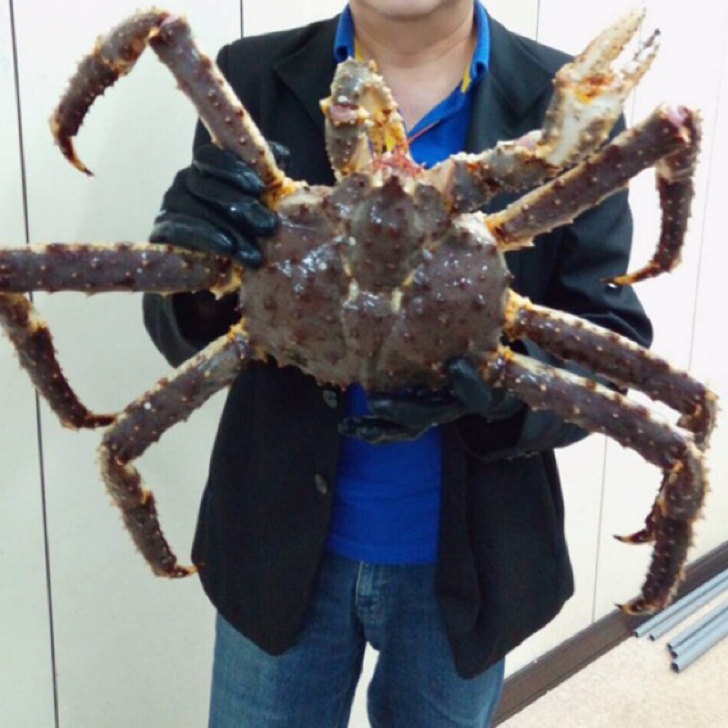 頂級活帝王蟹2 6 3 Kg 大隻挪威智利阿拉斯加海鮮 蝦皮購物