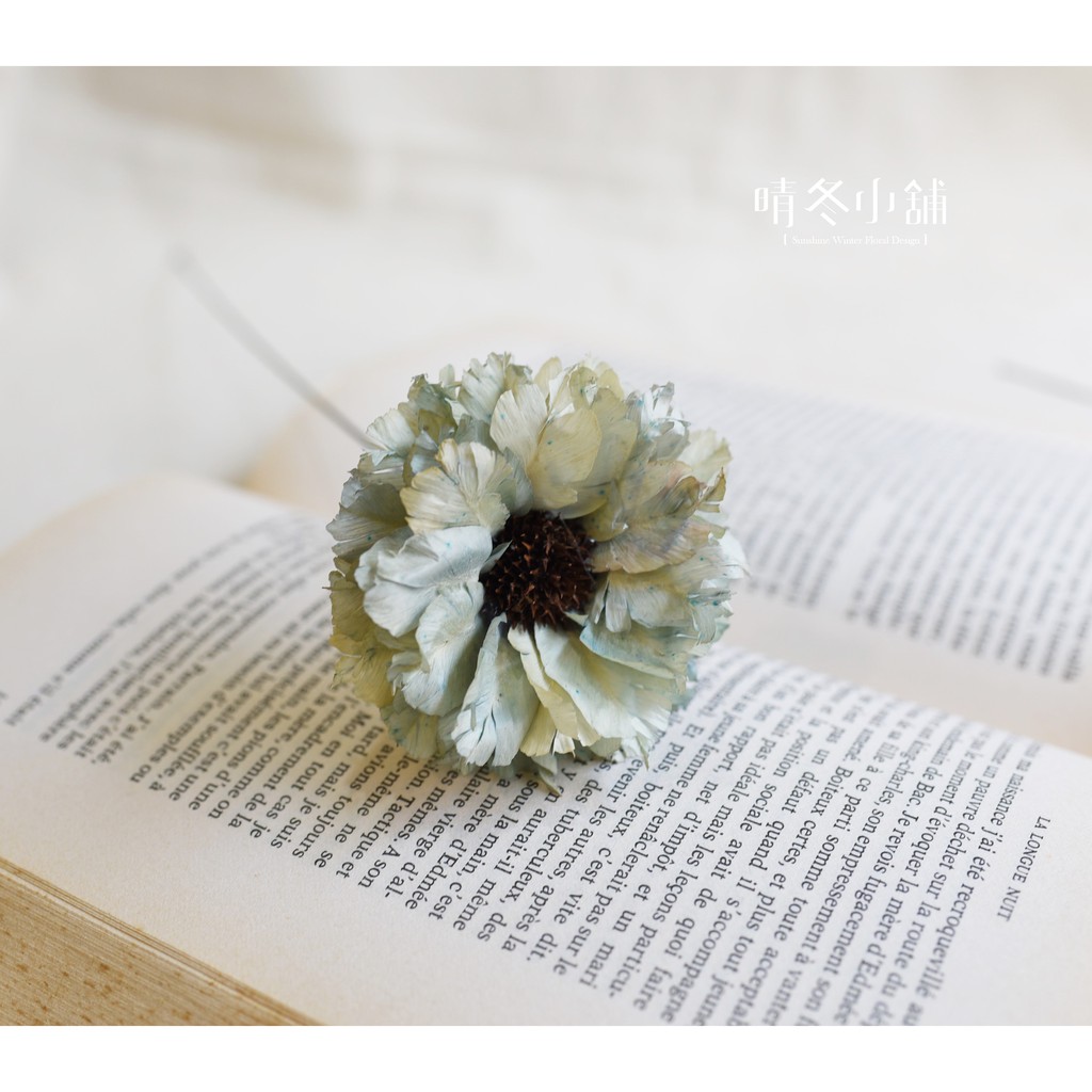 *晴冬小舖*進口乾燥花材-手作太陽花 永生花 不凋花 拍照道具 居家佈置 花朵 花束 店面佈置 店面擺飾