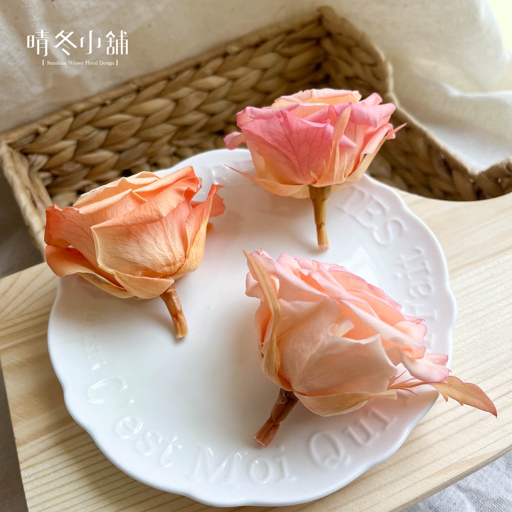 晴冬小舖 日本進口大地農園不凋滾邊漸層滿開玫瑰特大玫瑰不凋玫瑰花特殊漸層染色玫瑰不凋花永生花永生玫瑰