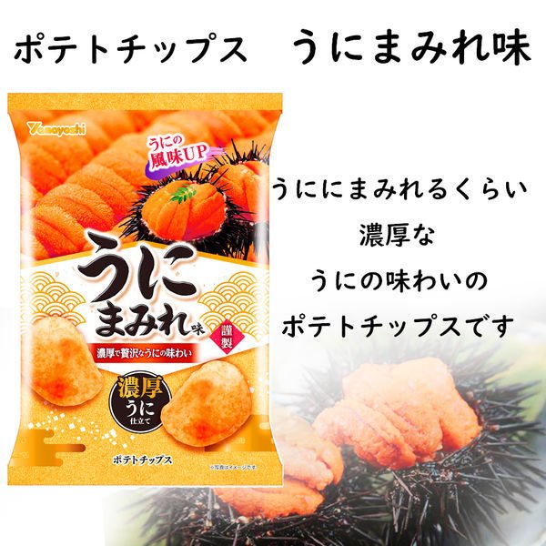 現貨❗【日本山芳製菓】濃厚海膽風味洋芋片-48g