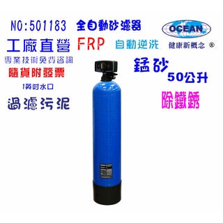【巡航淨水】地下水處理除鐵銹全戶式水塔過濾器50公升自動逆洗控制錳砂過濾器餐飲淨水器飲水機 RO純水機.貨號B1183