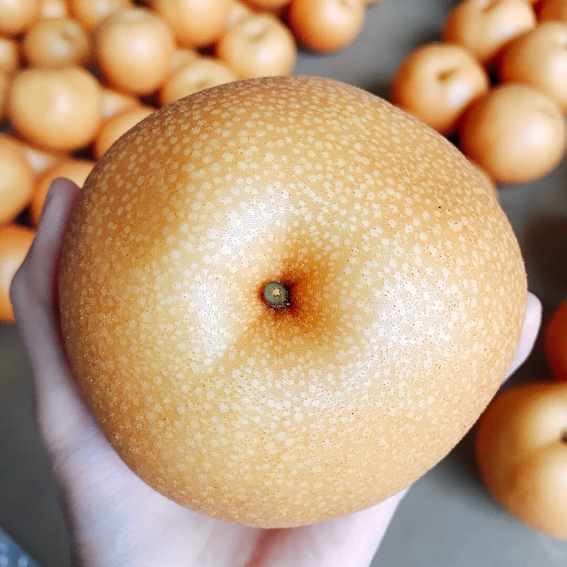 苗栗三灣鄉高接梨 蝦皮購物