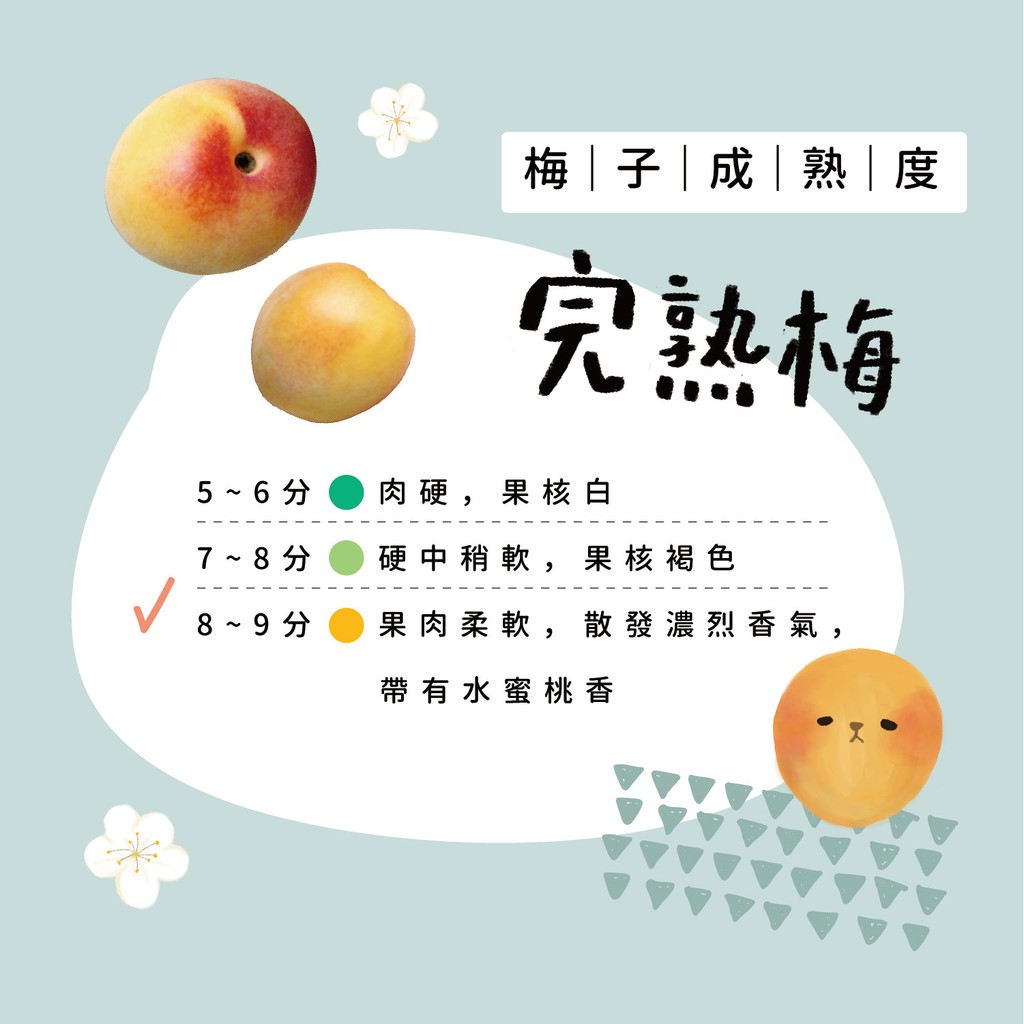 蝦皮購物 花得更少買得更好