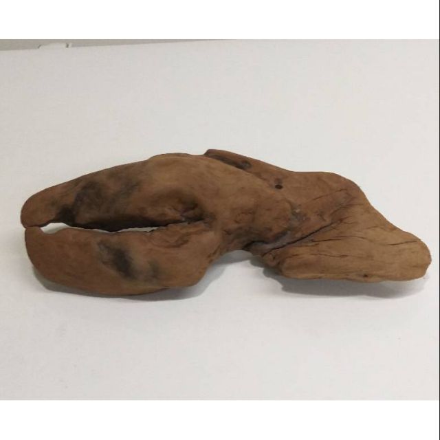 漂流木 奇木---
波士頓龍蝦大螯
撿到就是這形狀  
用砂紙處理過
也算是天然的
29x11x6cm
1280即可擁有